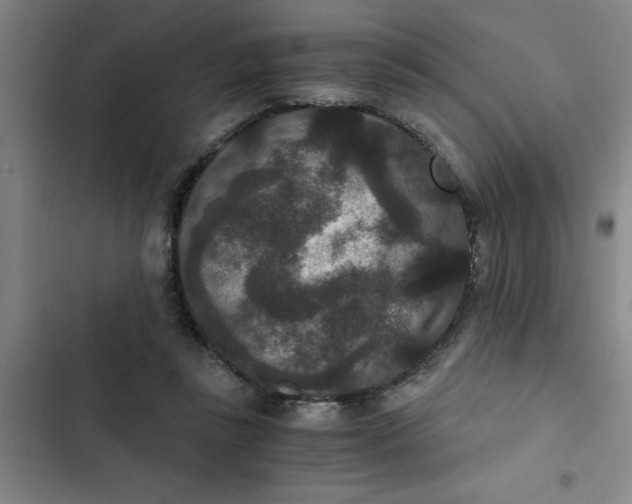 X0000102480355200808221712