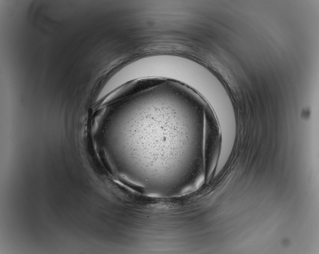 X0000102480356200808221712