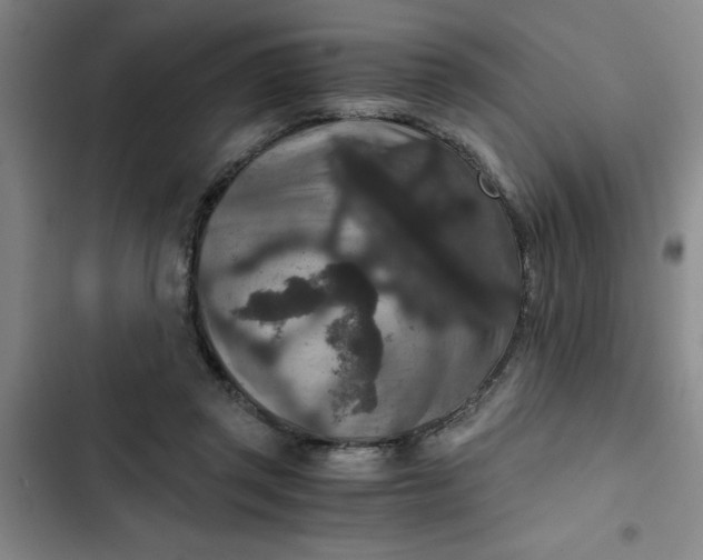 X0000102480357200808221712