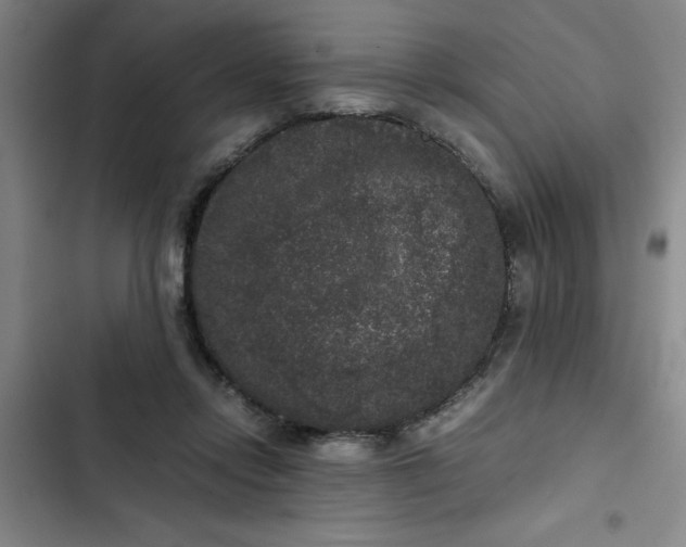 X0000102480358200808221712