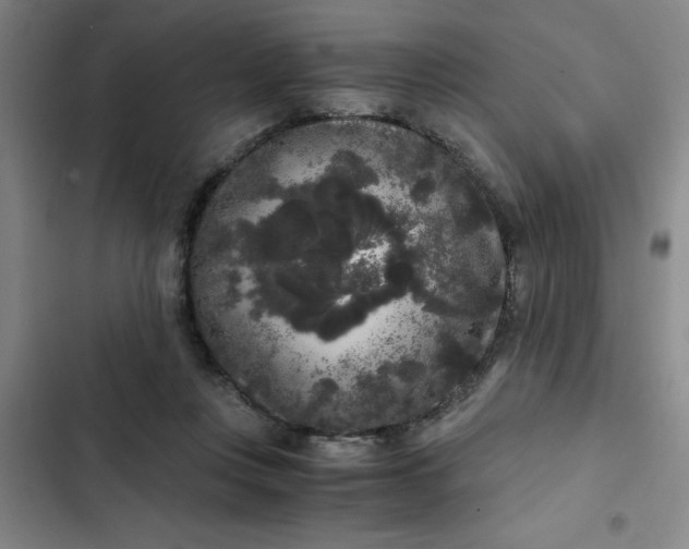 X0000102480359200808221712