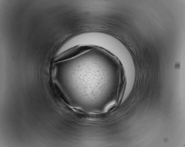 X0000102480360200808221713