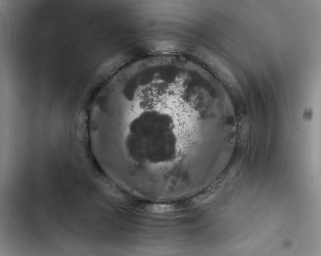 X0000102480361200808221713