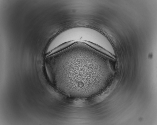 X0000102480362200808221713