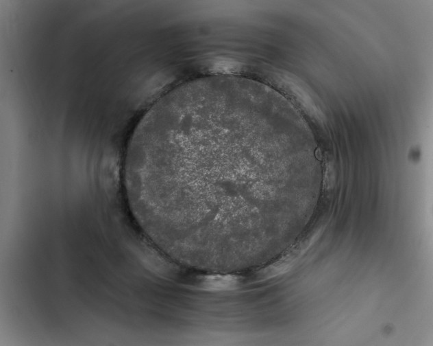 X0000102480363200808221713