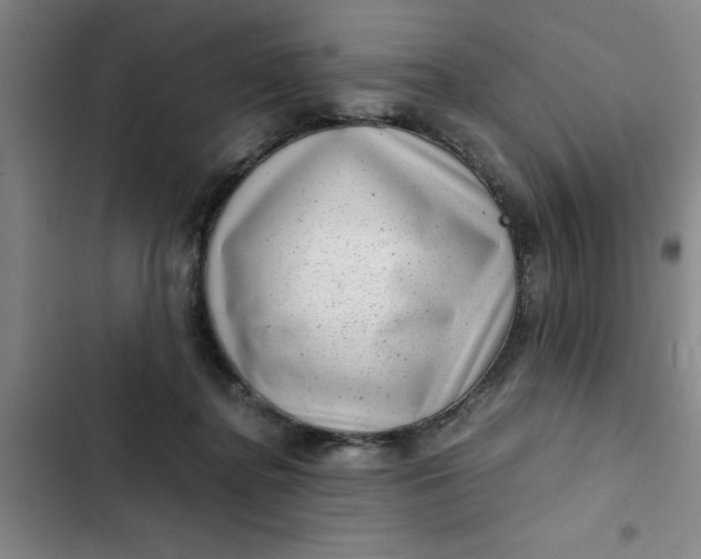 X0000102480364200808221713