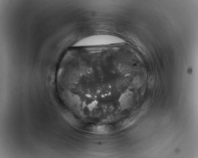 X0000102480365200808221713