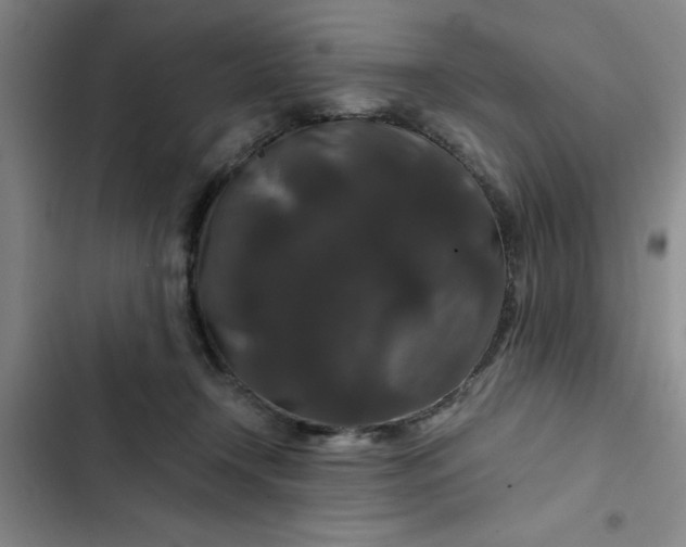 X0000102480366200808221713