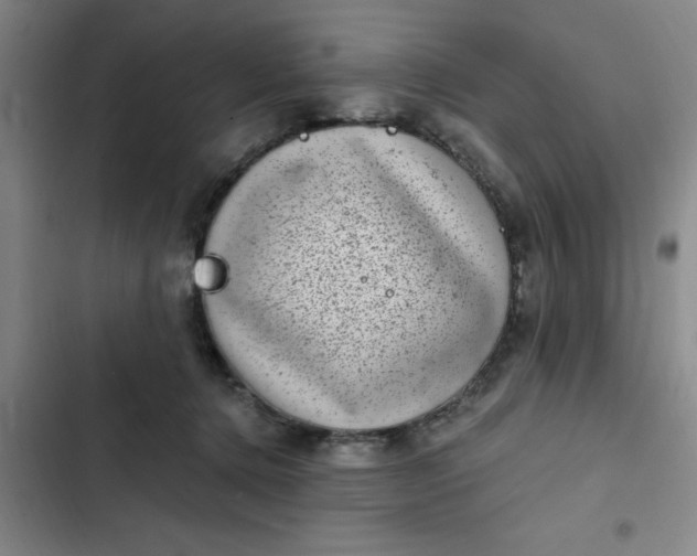 X0000102480368200808221713