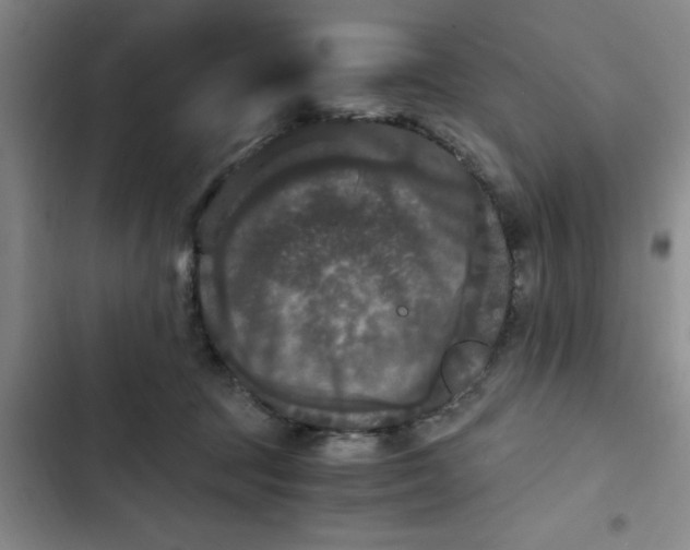 X0000102480369200808221713