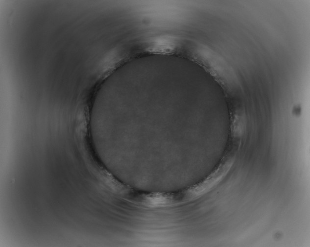 X0000102480370200808221713