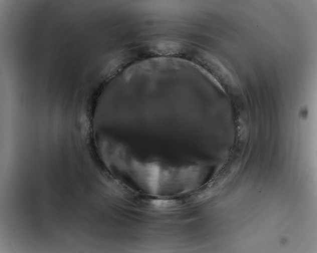 X0000102480371200808221713