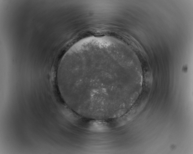 X0000102480372200808221713