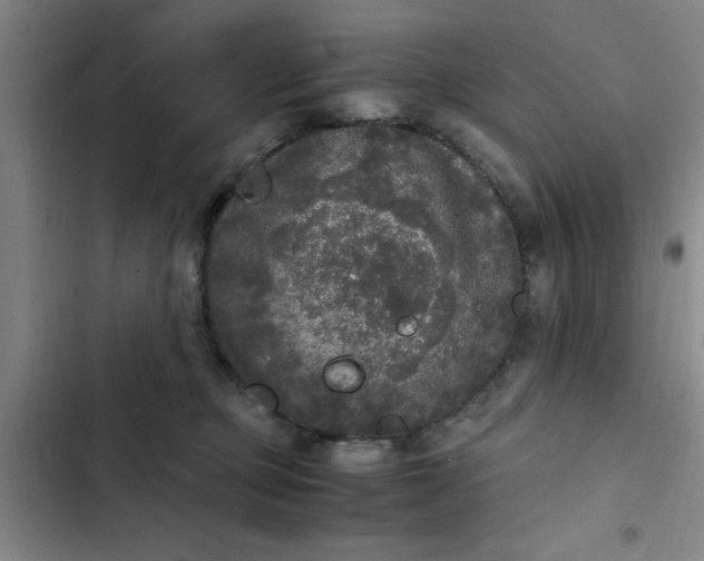 X0000102480373200808221713