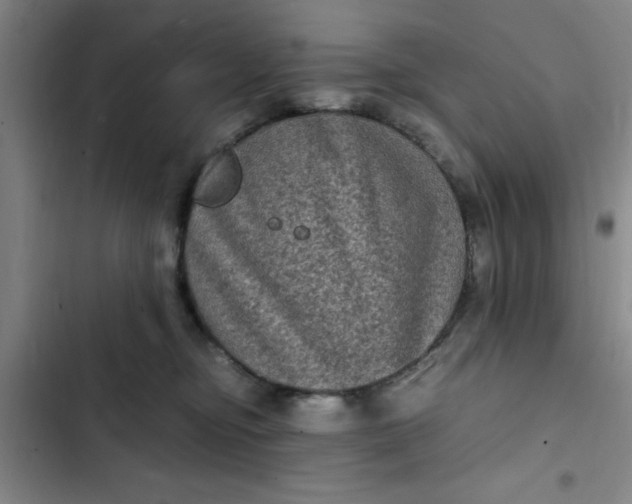 X0000102480374200808221713