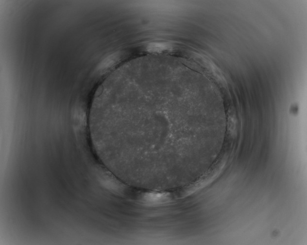 X0000102480375200808221713