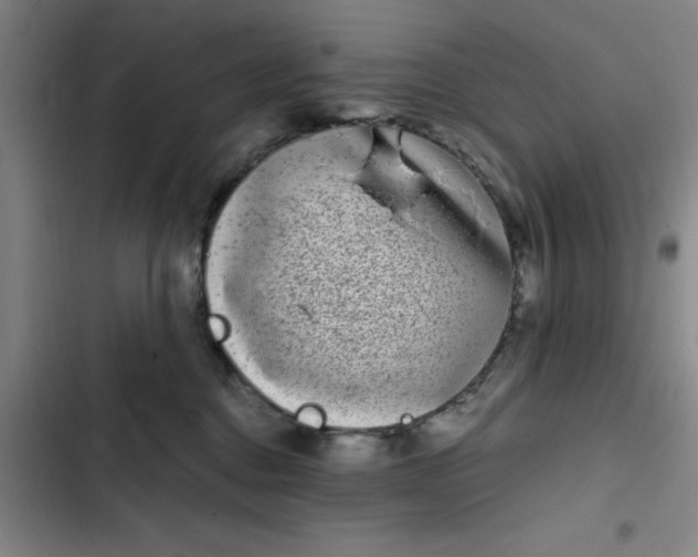 X0000102480376200808221713