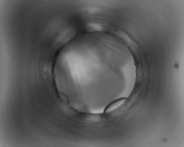 X0000102480377200808221713