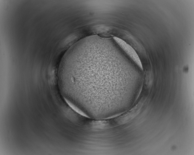 X0000102480378200808221713