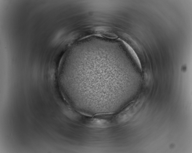 X0000102480379200808221713