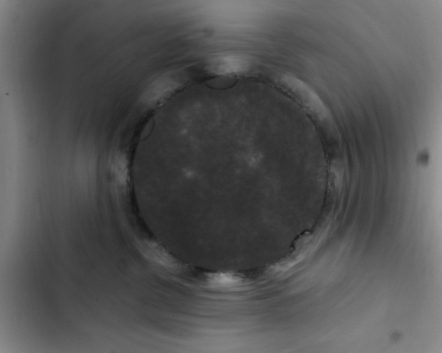 X0000102480380200808221713