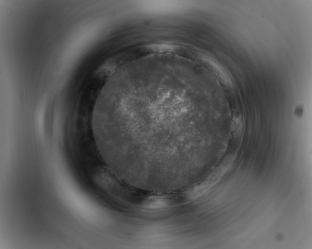 X0000102480381200808221713