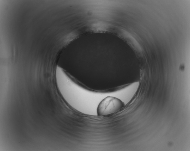 X0000102480382200808221713