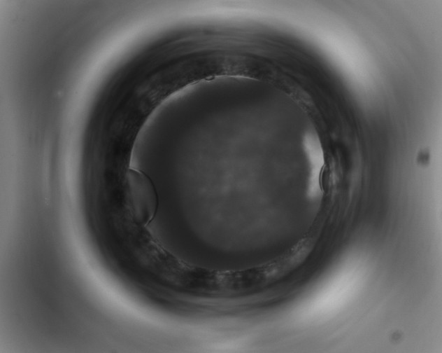 X0000102480383200808221713