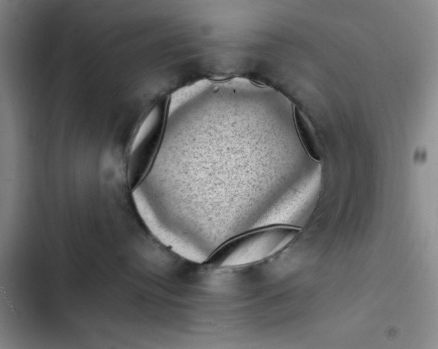 X0000102480384200808221713