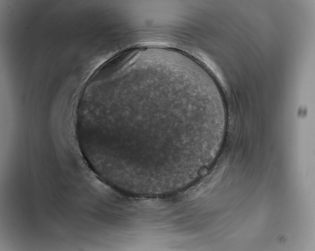 X0000102480385200808221712