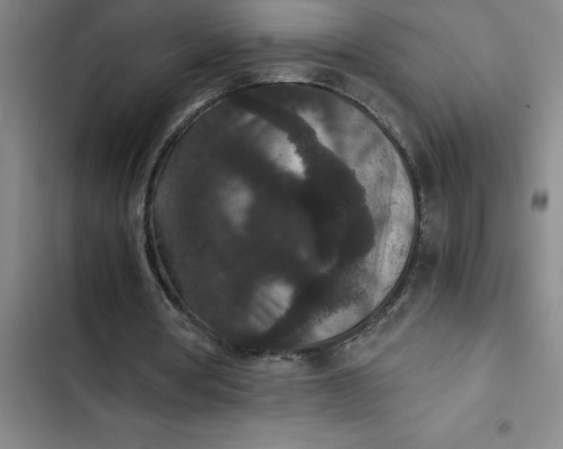 X0000102480386200808221712