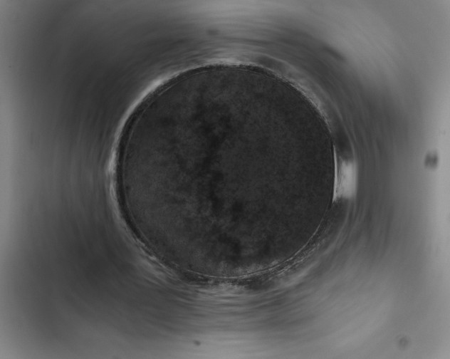 X0000102480387200808221712