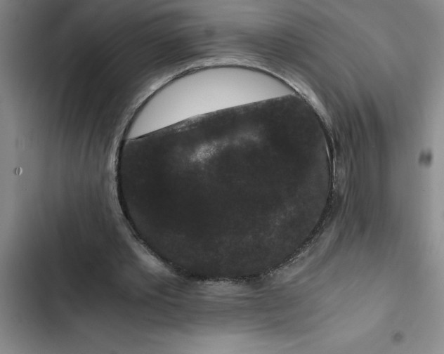 X0000102480389200808221712