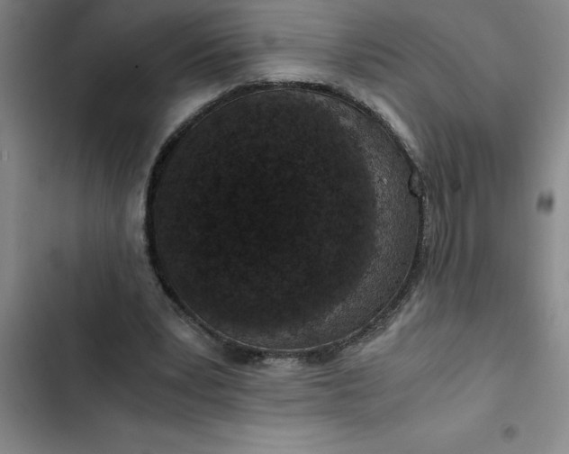 X0000102480391200808221712