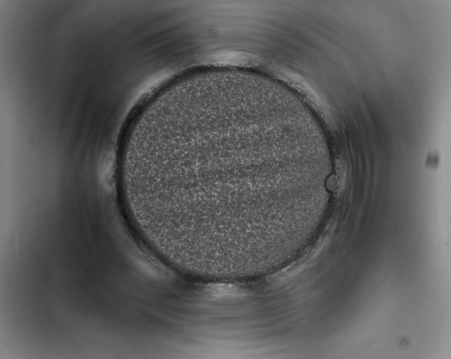 X0000102480392200808221712