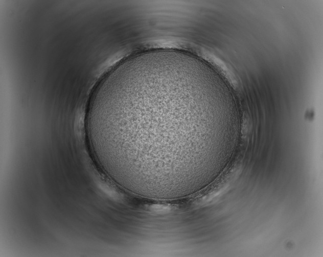 X0000102480394200808221712