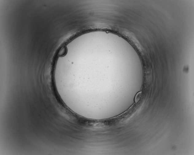 X0000102480395200808221712