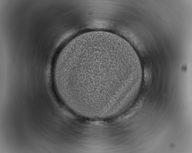 X0000102480396200808221712