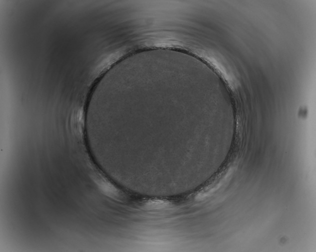 X0000102480397200808221712