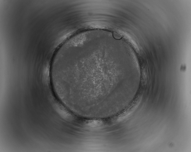 X0000102480398200808221712