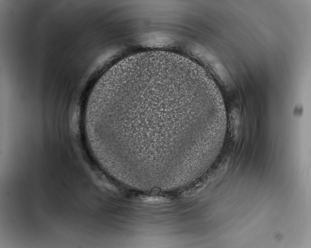 X0000102480400200808221712