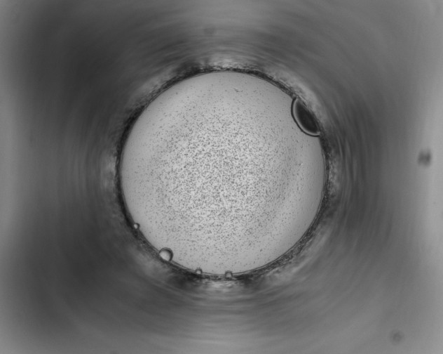 X0000102480401200808221712