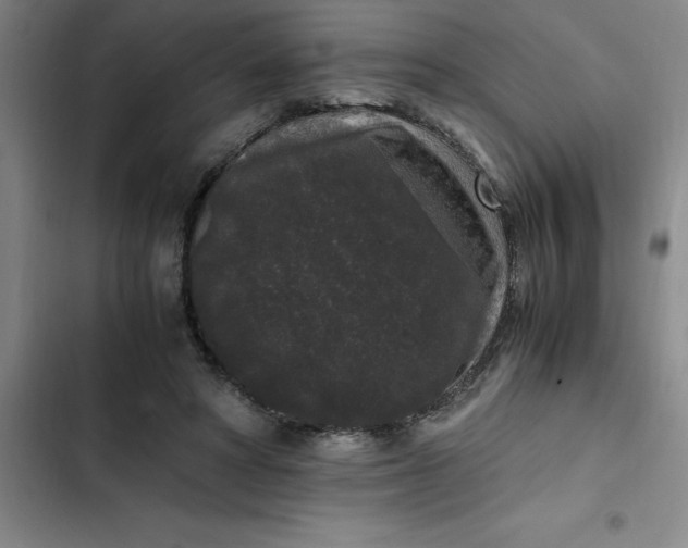 X0000102480402200808221712