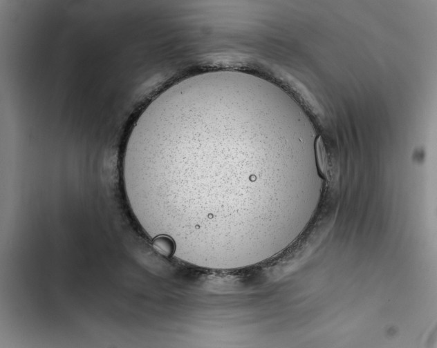 X0000102480403200808221712