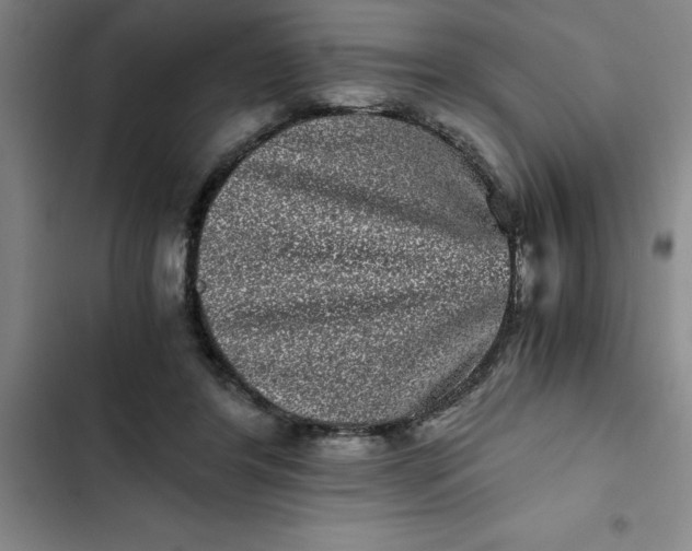 X0000102480404200808221712