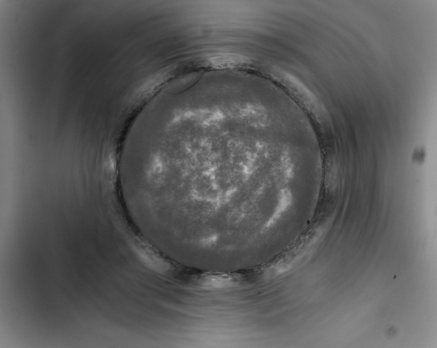 X0000102480405200808221712