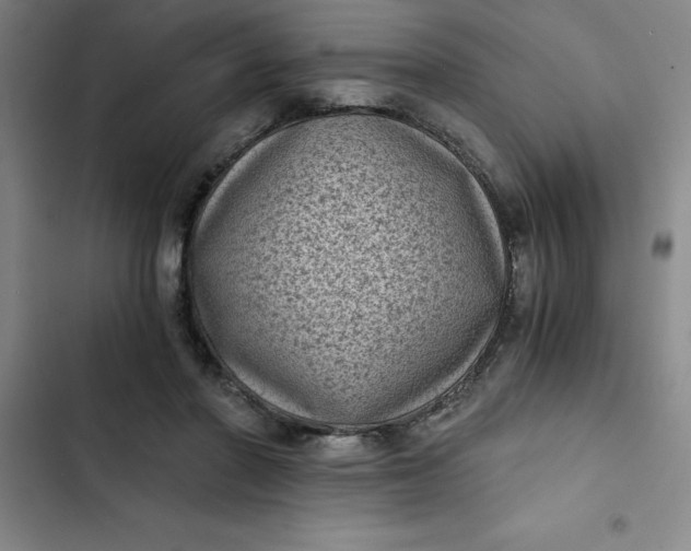 X0000102480406200808221712