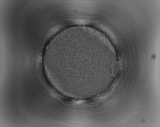 X0000102480407200808221712