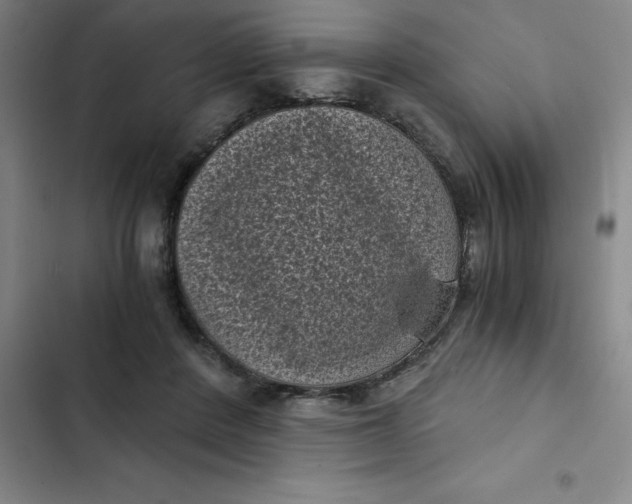 X0000102480408200808221712