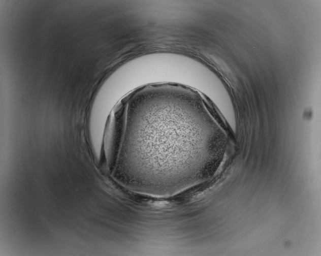 X0000102480409200808221712